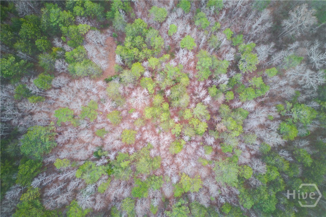 0 Sunshine Church Road Toccoa, GA 30577 - Photo 3 of 7