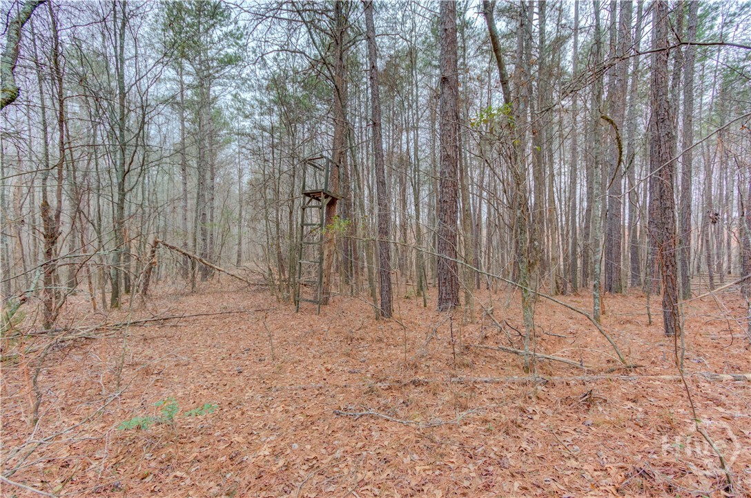 0 Sunshine Church Road Toccoa, GA 30577 - Photo 5 of 7