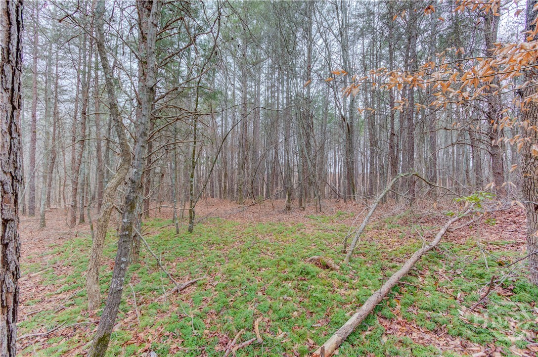 0 Sunshine Church Road Toccoa, GA 30577 - Photo 6 of 7