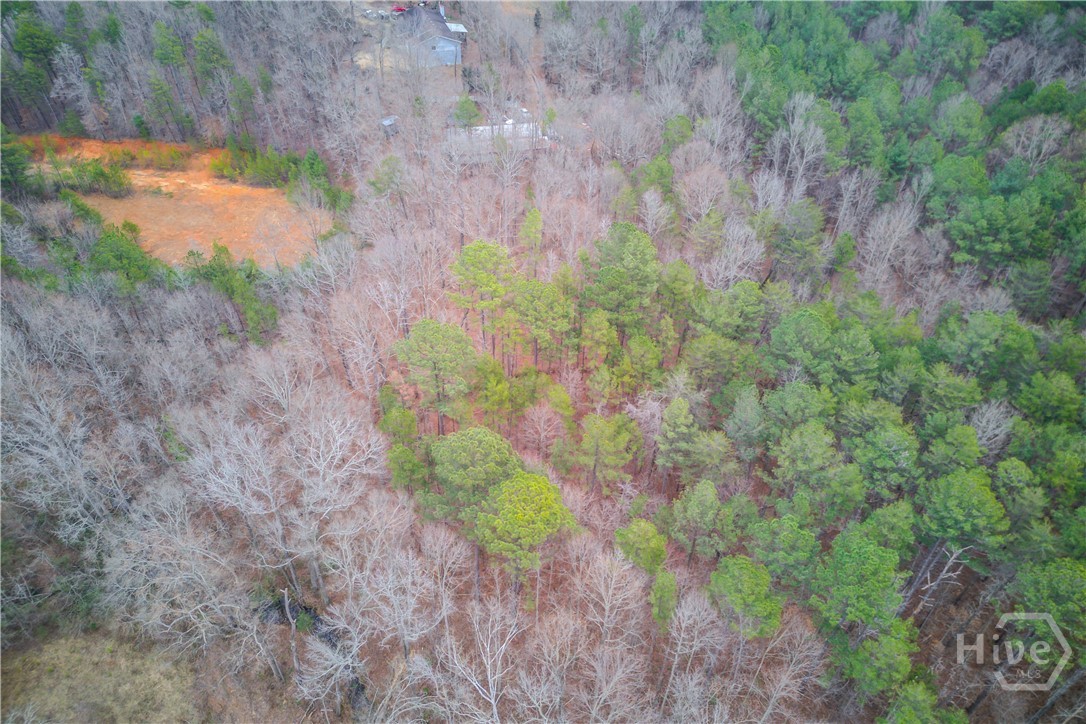 0 Sunshine Church Road Toccoa, GA 30577 - Photo 7 of 7