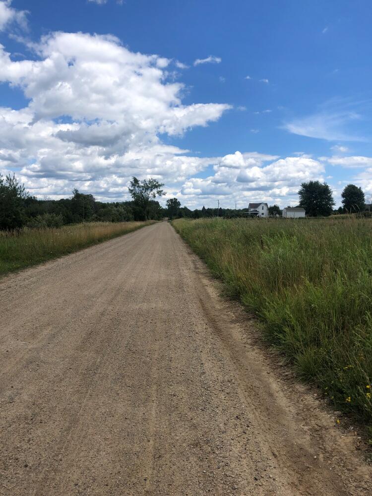 0 Truman Road Evart, MI 49631 - Photo 11 of 18 11 Main road view