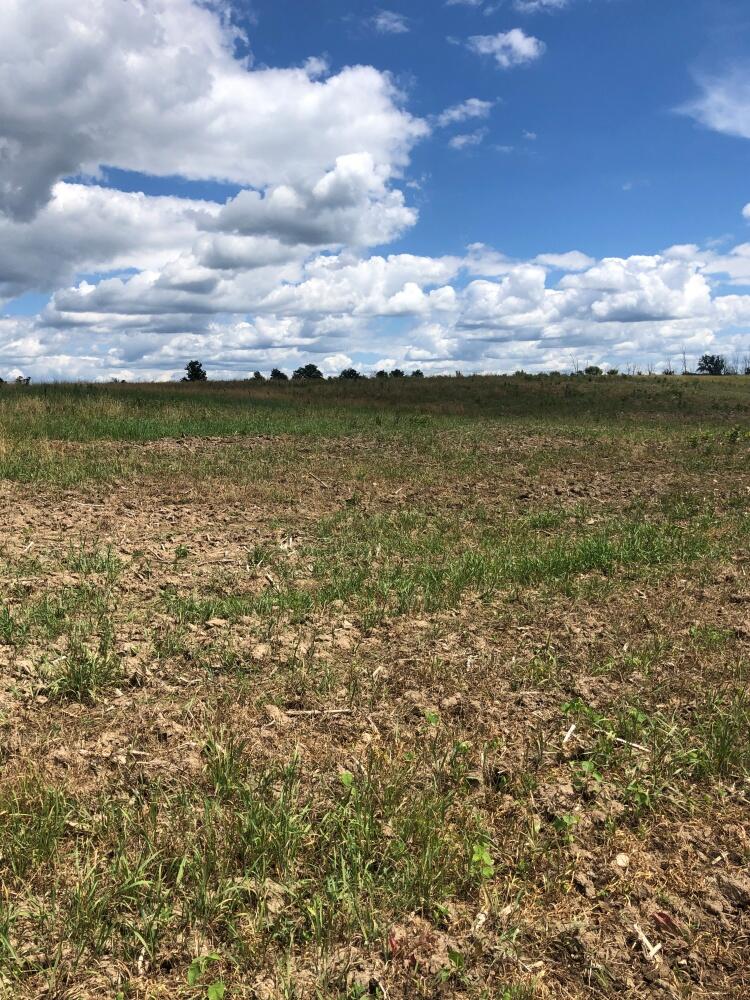 0 Truman Road Evart, MI 49631 - Photo 4 of 18 4 Field
