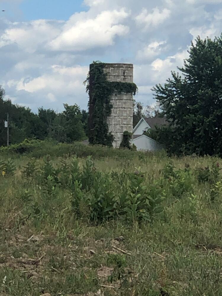 0 Truman Road Evart, MI 49631 - Photo 10 of 18 10 Silo
