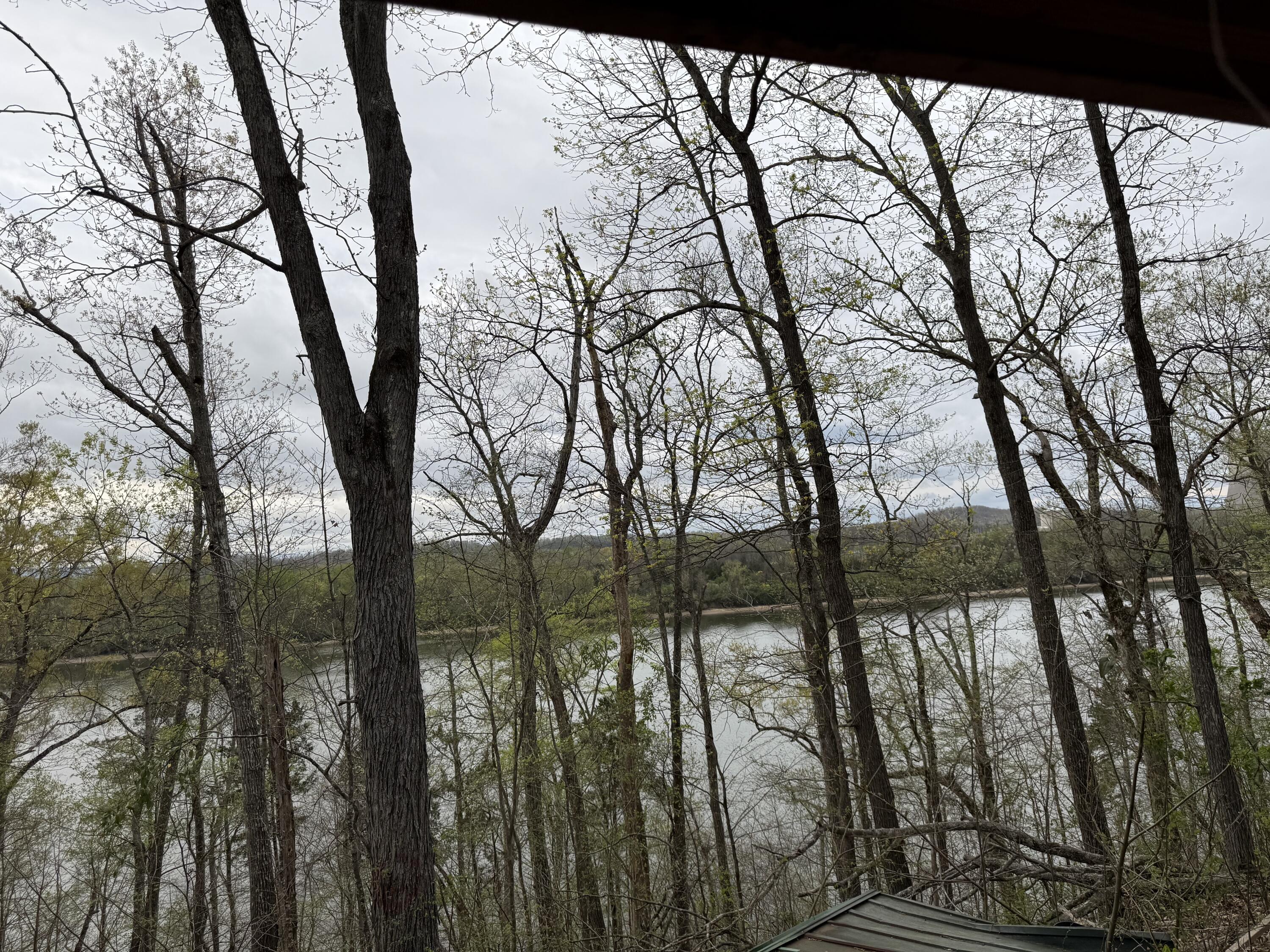 250 Cunningham Drive Decatur, TN 37322 - Photo 4 of 5 IMG_0533