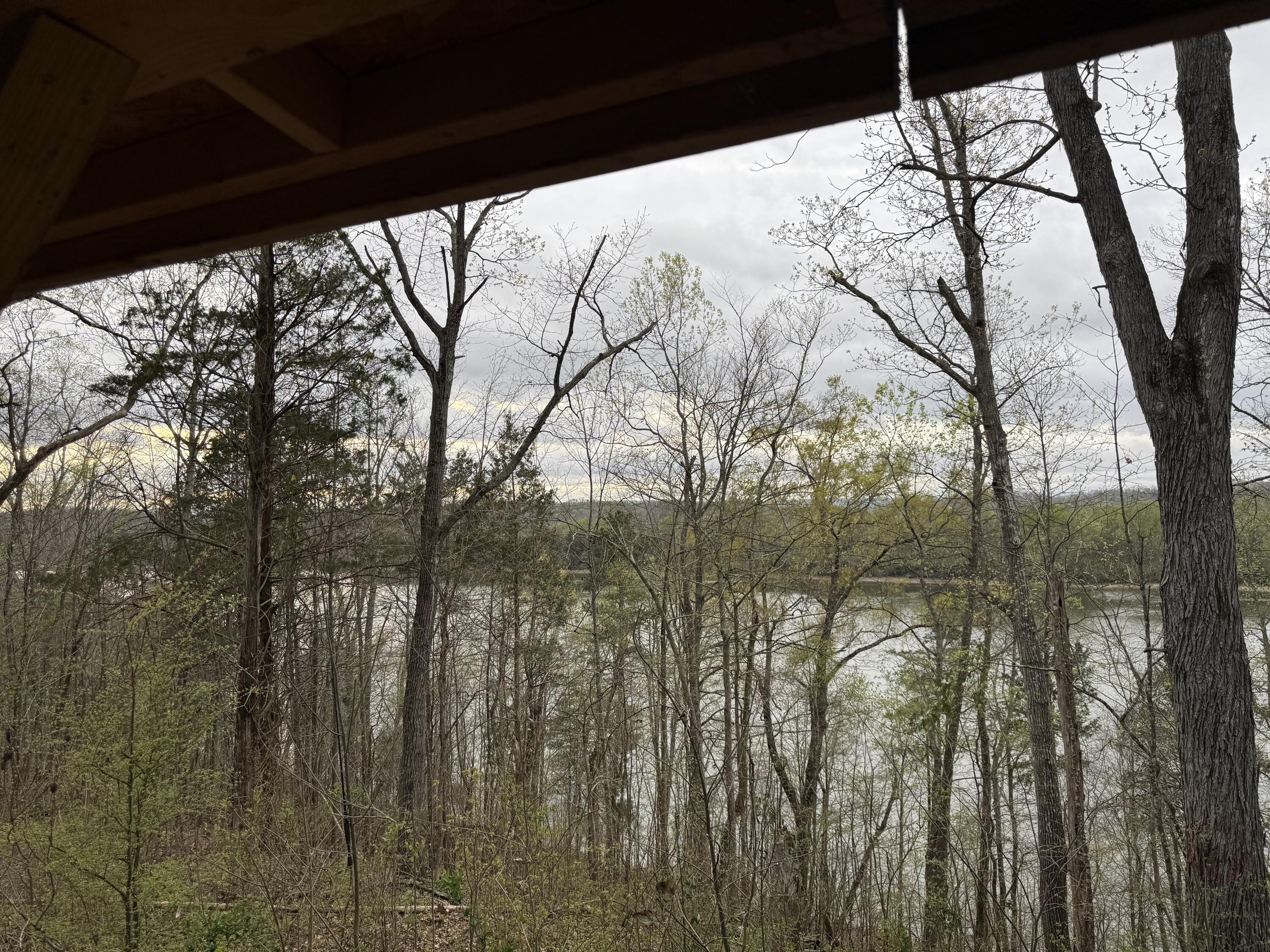 250 Cunningham Drive Decatur, TN 37322 - Photo 5 of 5 IMG_0532