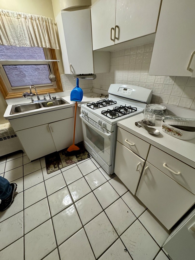 1314 Central Street, Unit 1S Evanston, IL 60201 - Photo 5 of 8