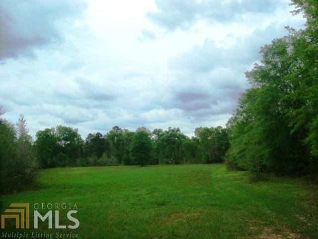 0 Thomaston Highway Butler, GA 31006 - Photo 1 of 1 Gallery Image 1