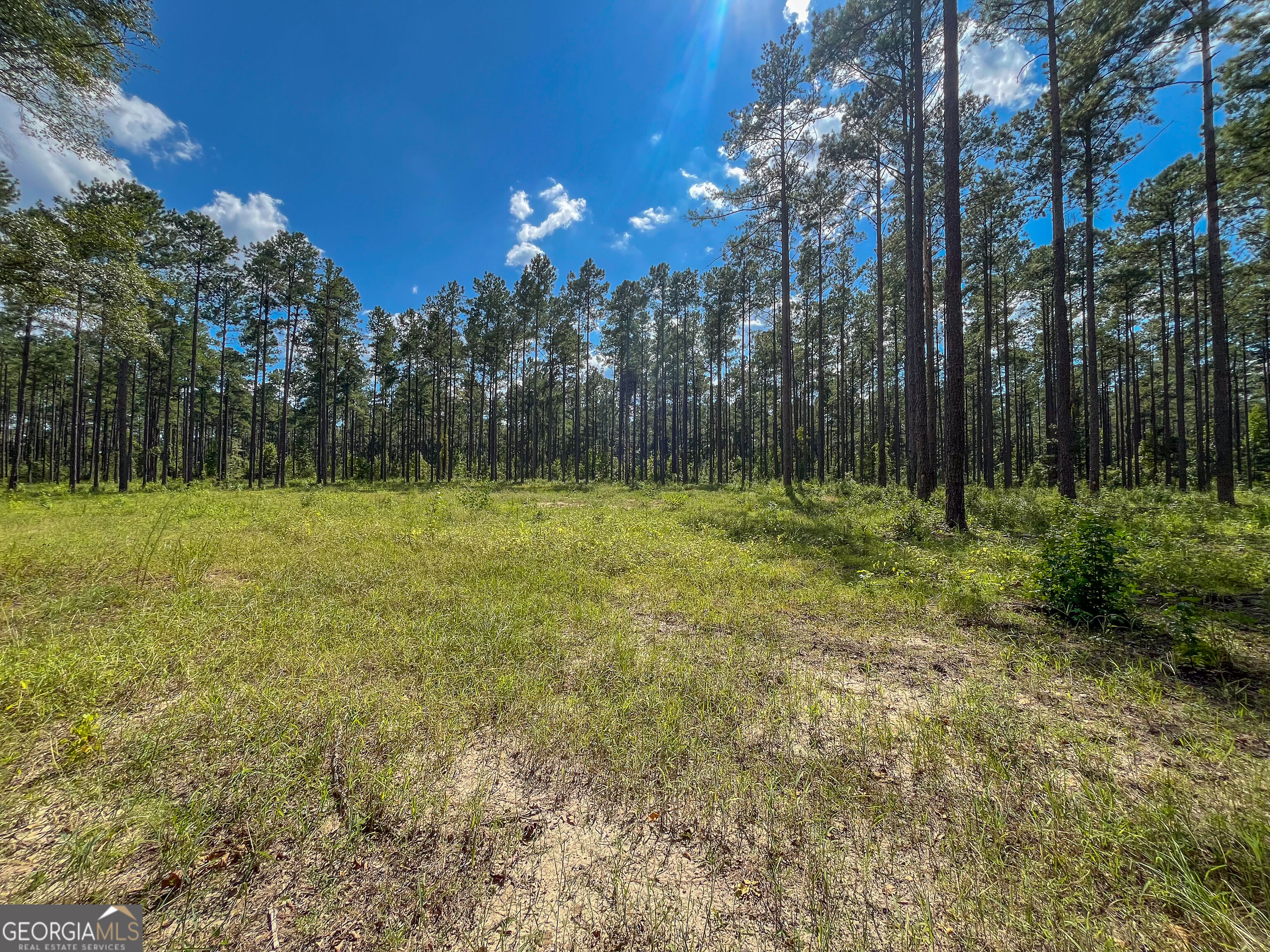 0 Mark Wood Road Dexter, GA 31019 - Photo 1 of 5 Gallery Image 1