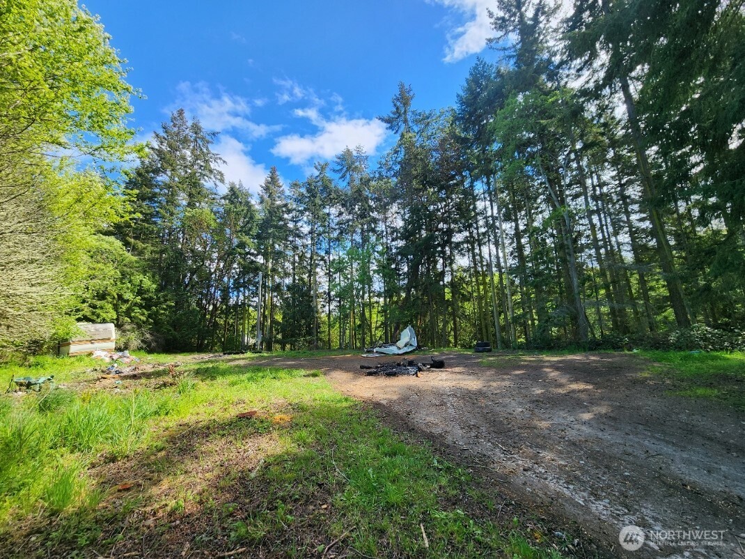 936 Gasman Road Port Angeles, WA 98362 - Photo 12 of 14 a view of outdoor space with trees all around