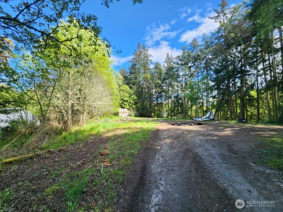 936 Gasman Road Port Angeles, WA 98362 - Photo 13 of 14 a view of outdoor space with trees all around