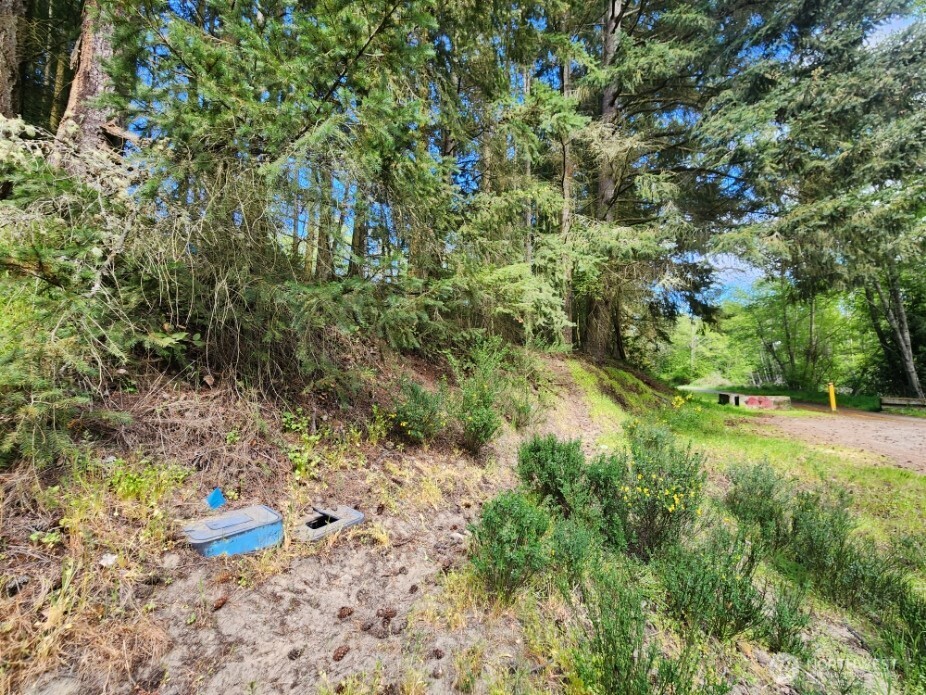936 Gasman Road Port Angeles, WA 98362 - Photo 2 of 14 a view of an outdoor space with a tree