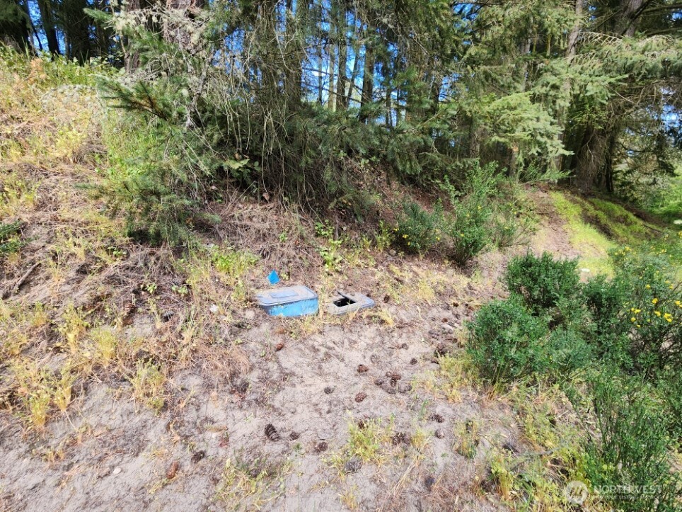 936 Gasman Road Port Angeles, WA 98362 - Photo 3 of 14 a view of a yard with plants and some trees