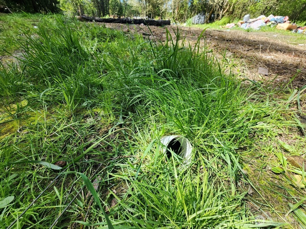 936 Gasman Road Port Angeles, WA 98362 - Photo 6 of 14 a backyard of a house with lots of green space