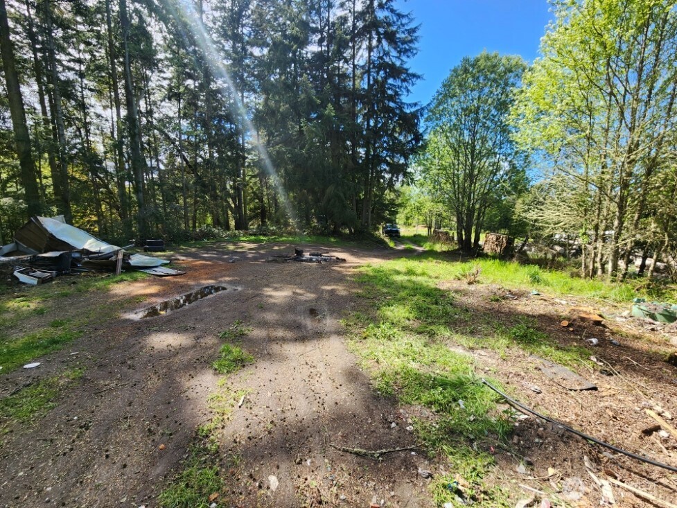 936 Gasman Road Port Angeles, WA 98362 - Photo 10 of 14 a view of a trees with a yard