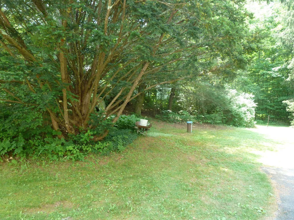 11 Orange Road Warwick, MA 01378 - Photo 8 of 30
