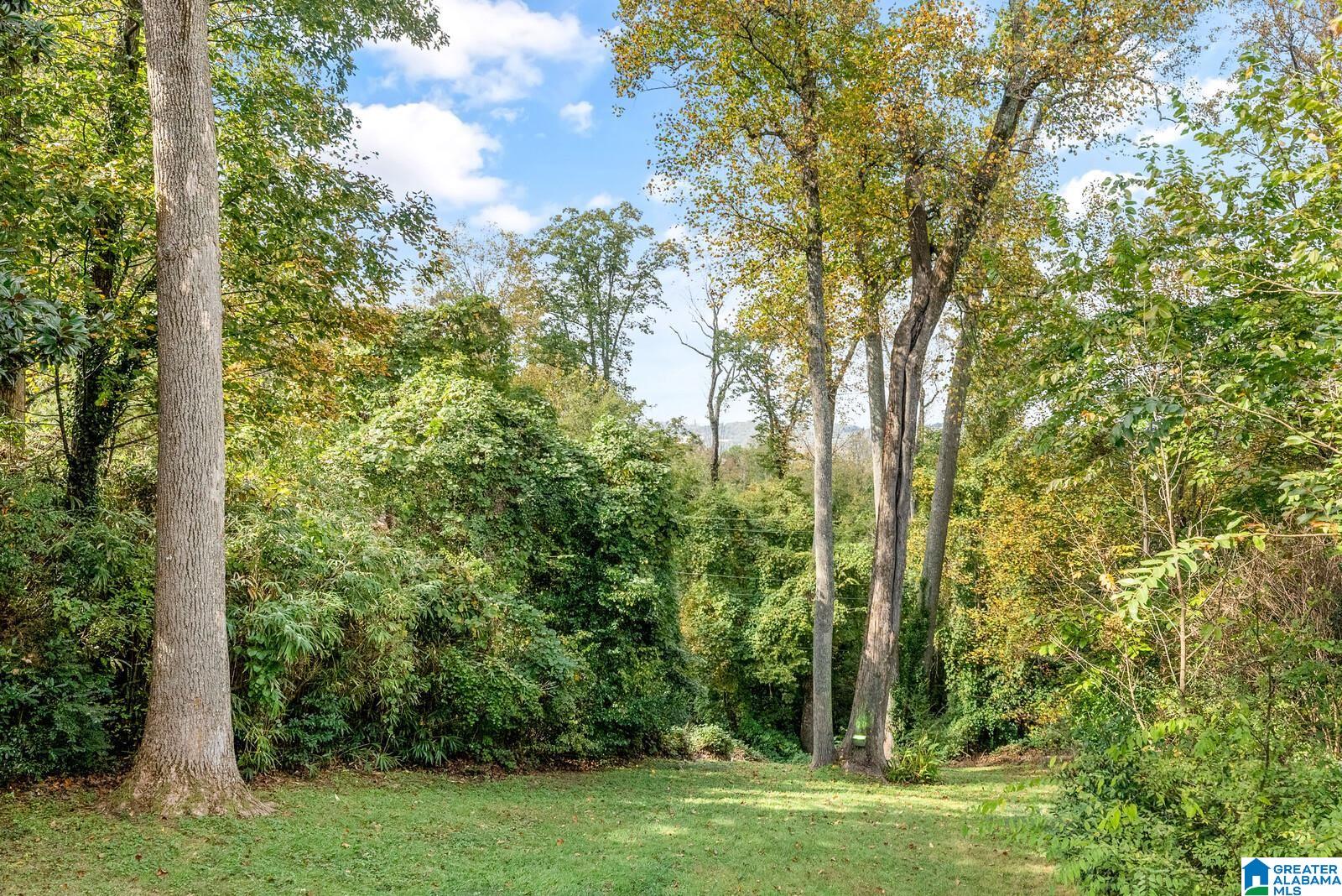 2868 Shook Hill Road Birmingham, AL 35223 - Photo 73 of 98