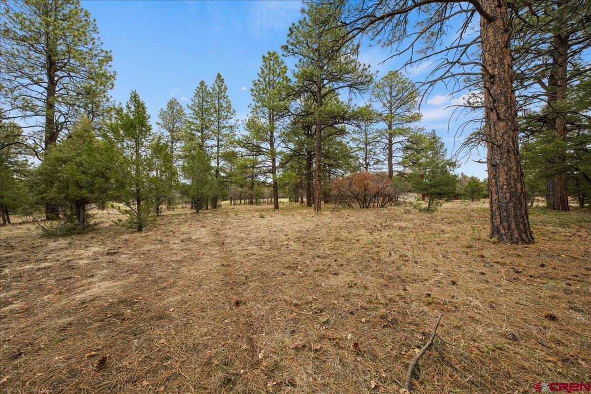 Lot 439 South Badger Trail Ridgway, CO 81432 - Photo 12 of 19 a view of outdoor space with trees