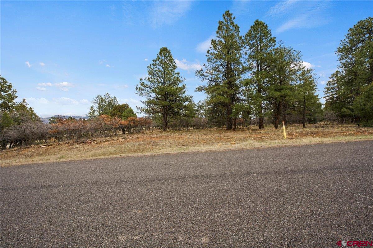 Lot 439 South Badger Trail Ridgway, CO 81432 - Photo 14 of 19 a view of outdoor space with city view