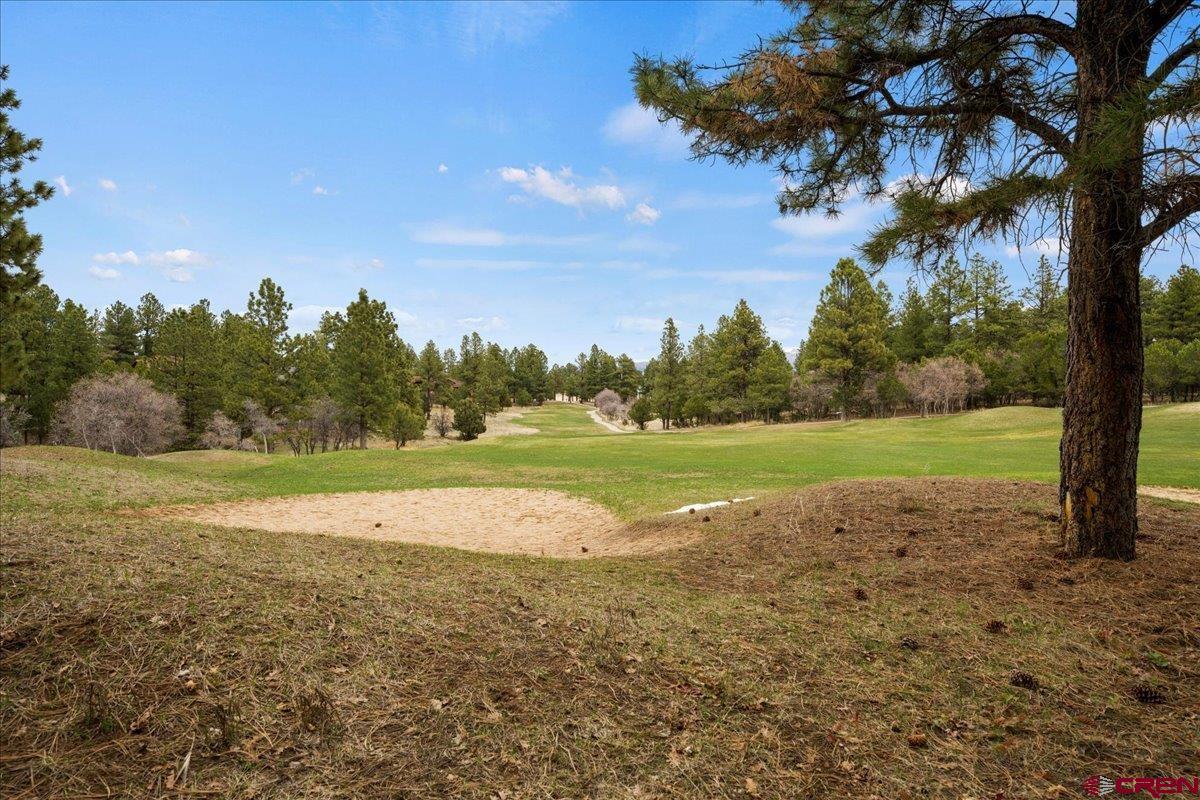 Lot 439 South Badger Trail Ridgway, CO 81432 - Photo 15 of 19 a view of a field with large trees