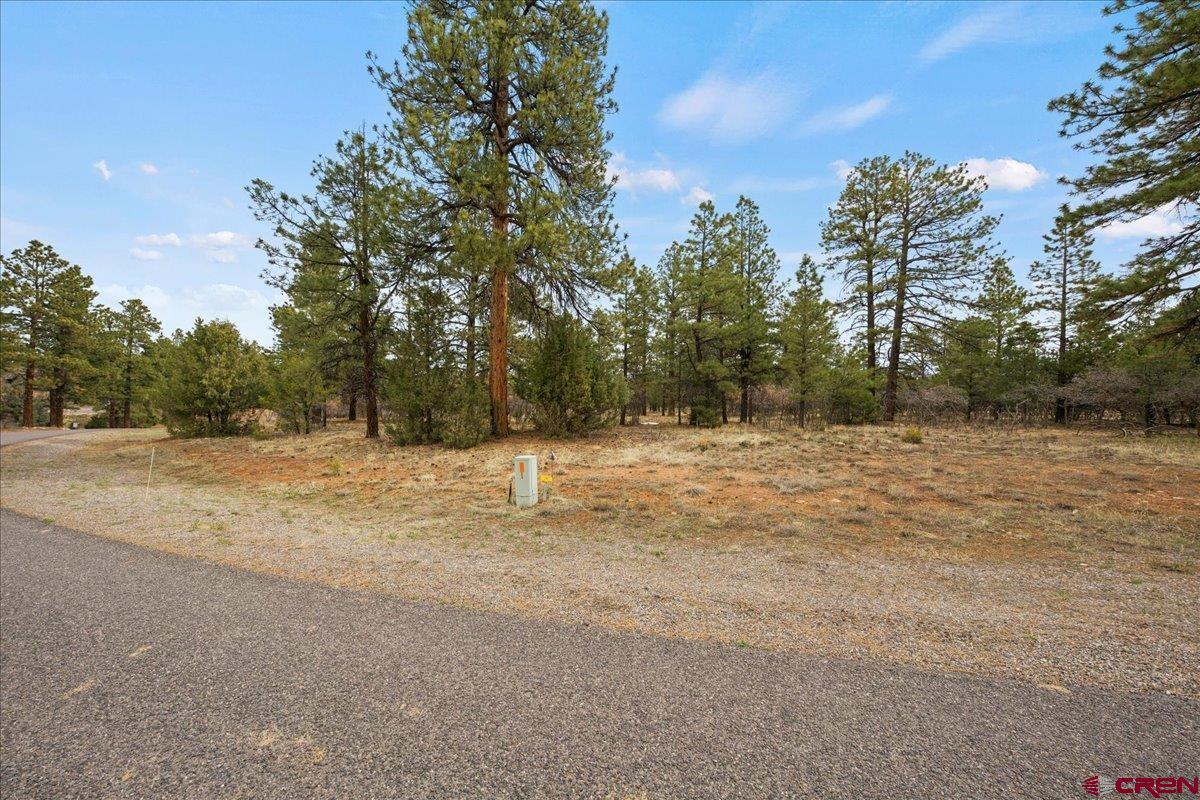 Lot 439 South Badger Trail Ridgway, CO 81432 - Photo 16 of 19 a backyard of a house with lots of trees