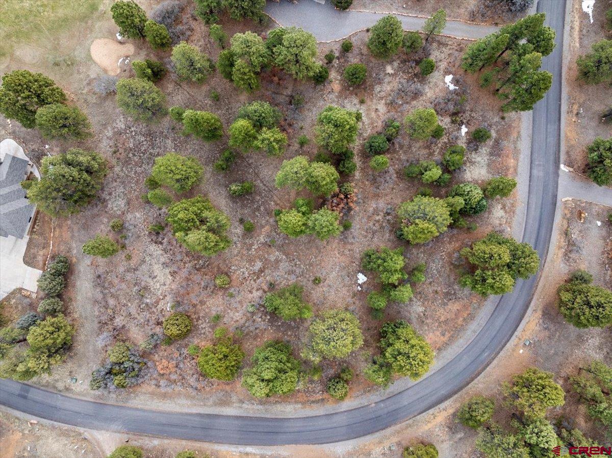 Lot 439 South Badger Trail Ridgway, CO 81432 - Photo 18 of 19 a view of a garden