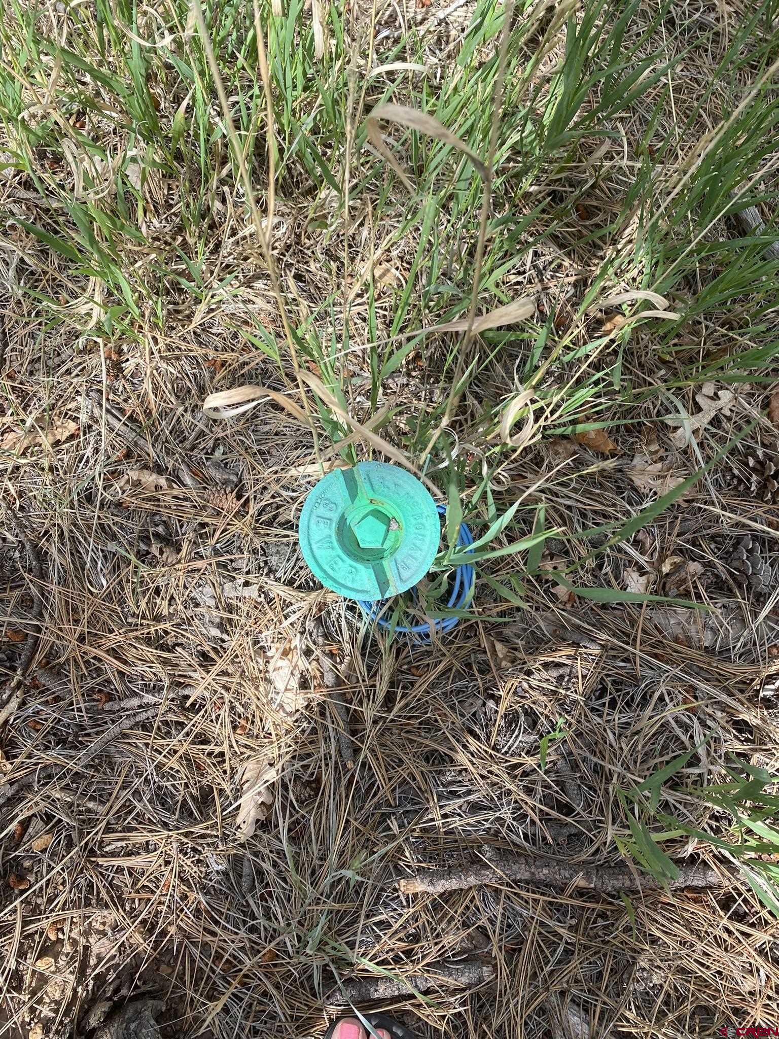 Lot 439 South Badger Trail Ridgway, CO 81432 - Photo 3 of 19