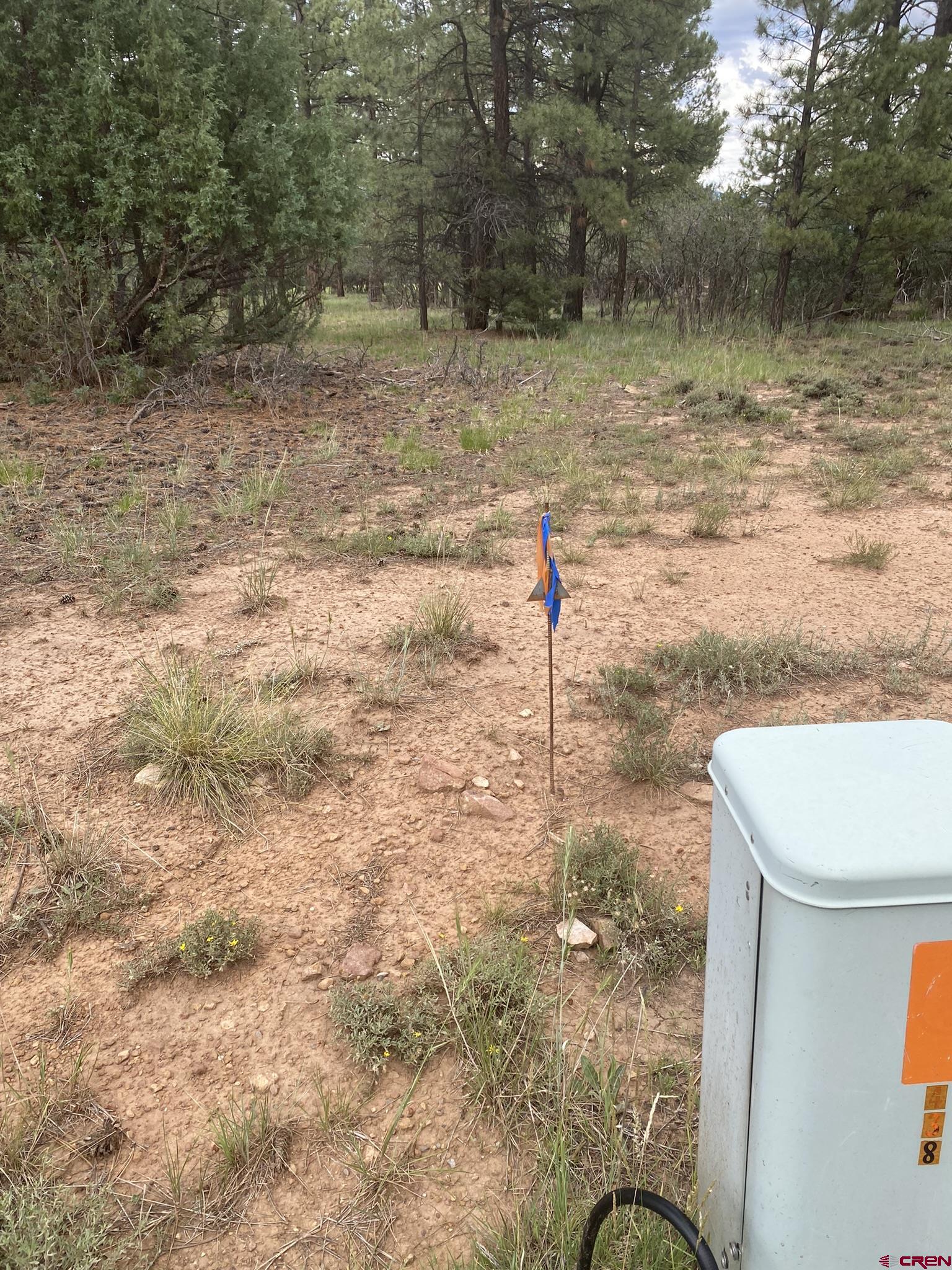 Lot 439 South Badger Trail Ridgway, CO 81432 - Photo 4 of 19 a view of a yard