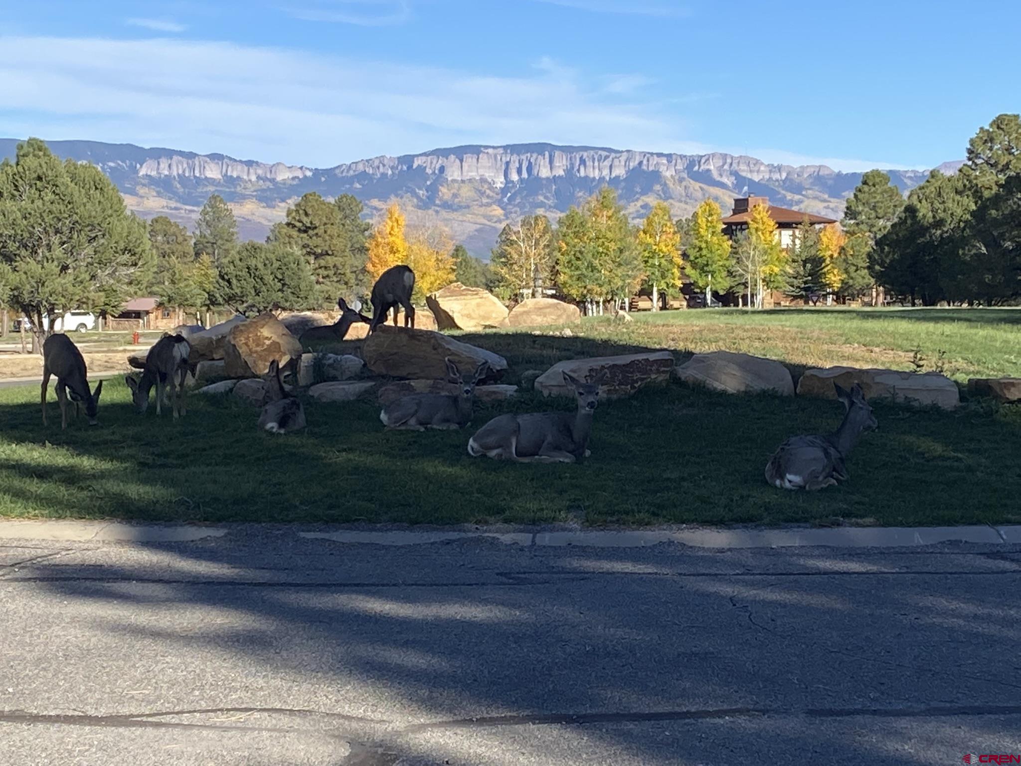 Lot 439 South Badger Trail Ridgway, CO 81432 - Photo 8 of 19