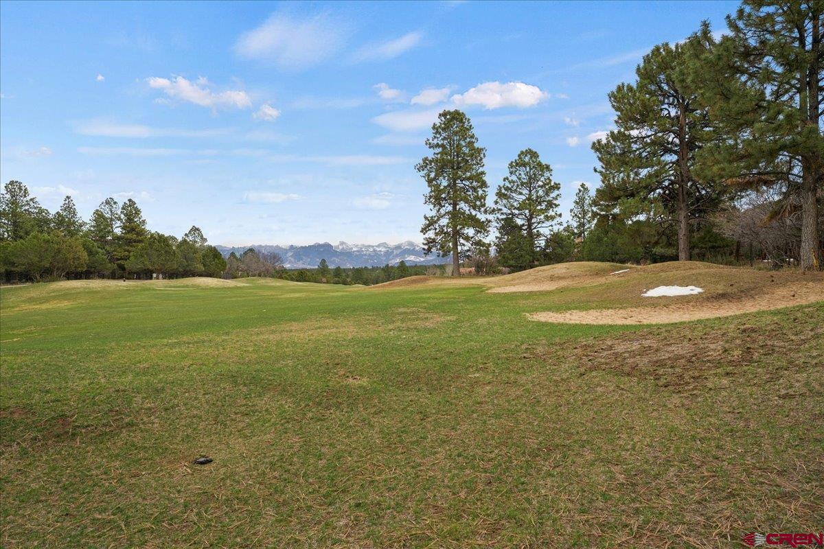 Lot 439 South Badger Trail Ridgway, CO 81432 - Photo 9 of 19