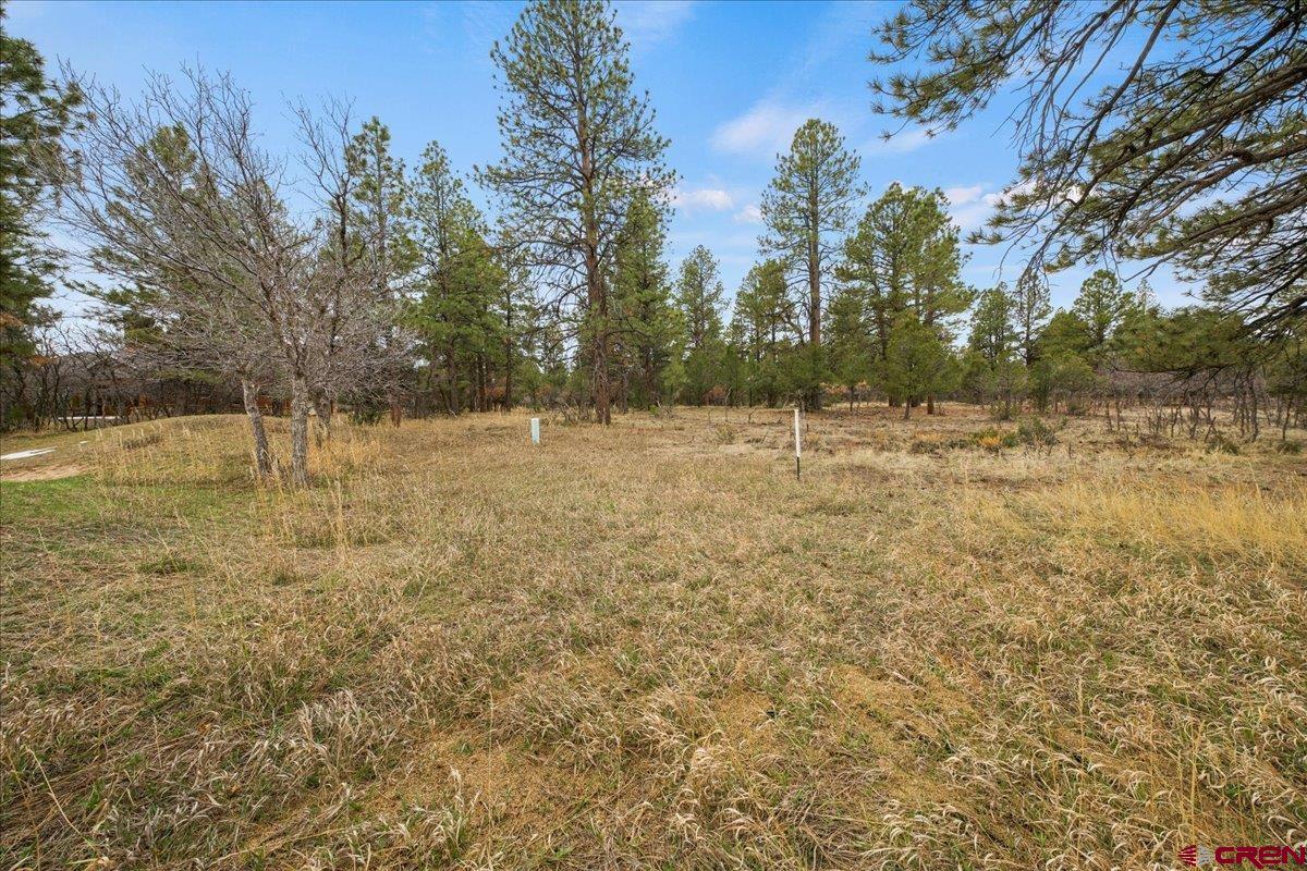 Lot 439 South Badger Trail Ridgway, CO 81432 - Photo 10 of 19 a view of a yard with trees in the background