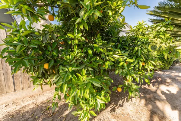 $625,000 | 3714 West Woodside Avenue, Visalia, CA 93291