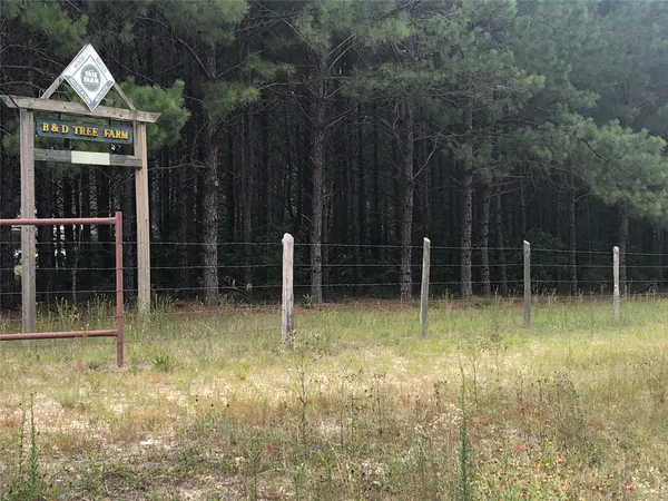 a view of outdoor space and deck living room