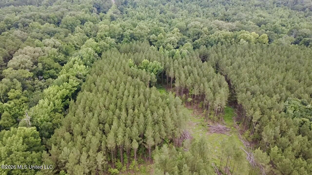 8119 Dry Grove Road Raymond, MS 39154 - Photo 27 of 45 2026-06-08-17-36-27-990