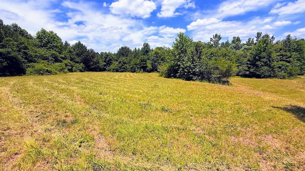 0 Nix Road Bremen, GA 30110 - Photo 3 of 11