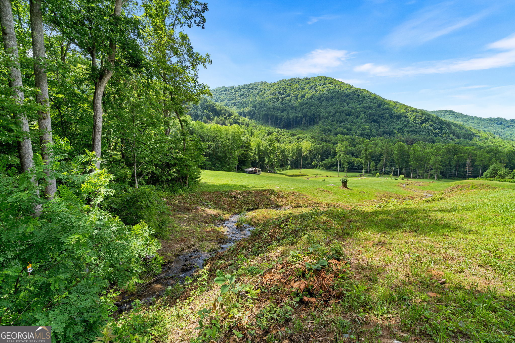 1449 Muskrat Creek Road Hayesville, NC 28904 - Photo 51 of 67