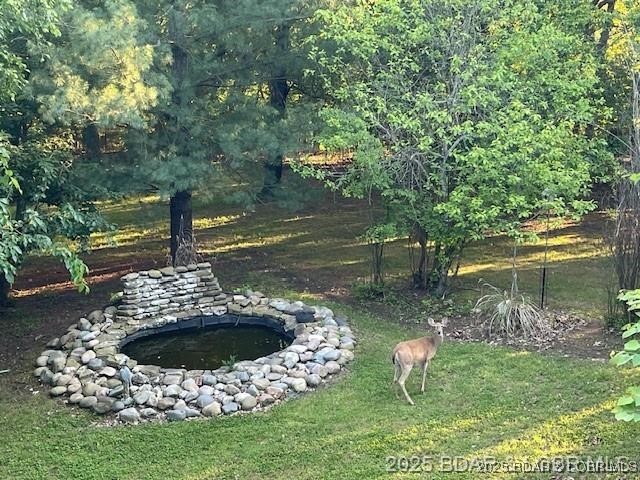 165 Lake Shadow Road Sunrise Beach, MO 65079 - Photo 40 of 50 Abundant wildlife also enjoy this setting