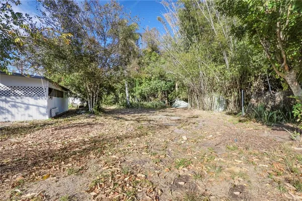 a view of a yard with plants and trees