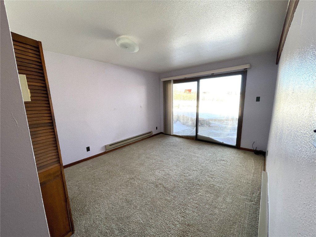 2584 High Creek Road Fairplay, CO 80440 - Photo 38 of 50 an empty room with windows