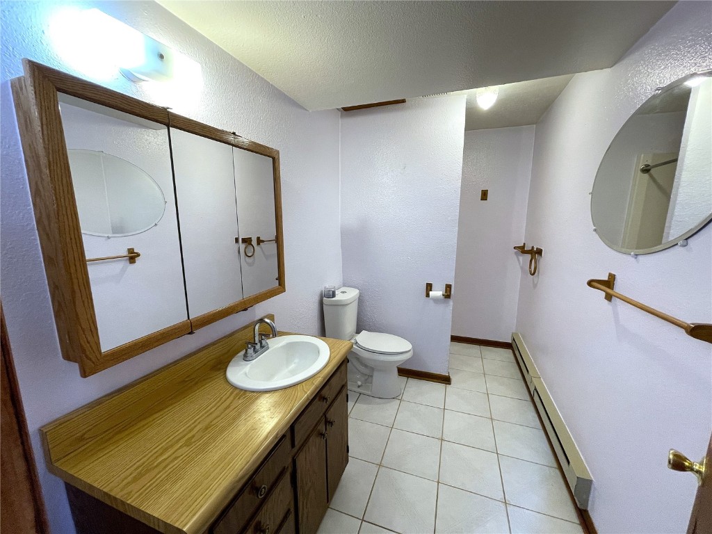 2584 High Creek Road Fairplay, CO 80440 - Photo 40 of 50 a bathroom with a sink a toilet and mirror