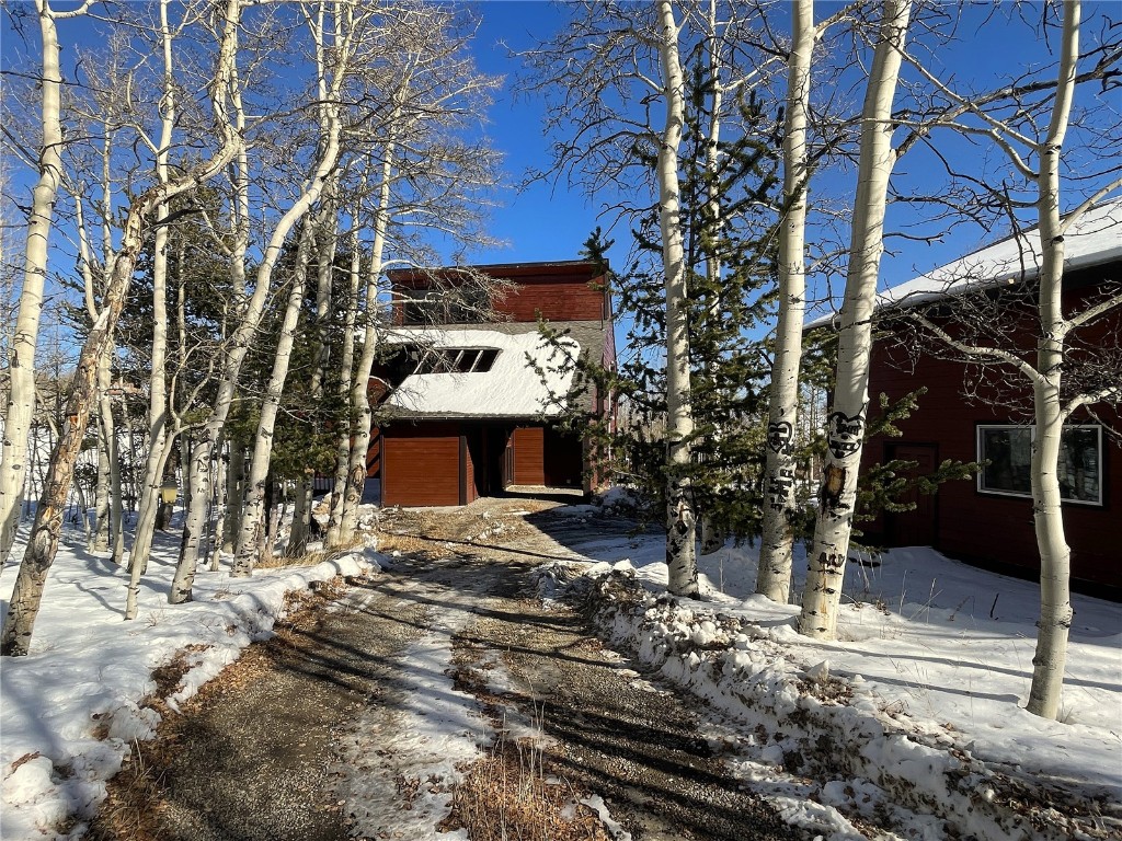 2584 High Creek Road Fairplay, CO 80440 - Photo 50 of 50 a view of a house with a yard