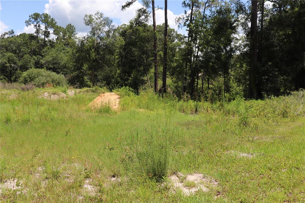 0 Bedstone Drive Webster, FL 33597 - Photo 2 of 7 a view of a lake view