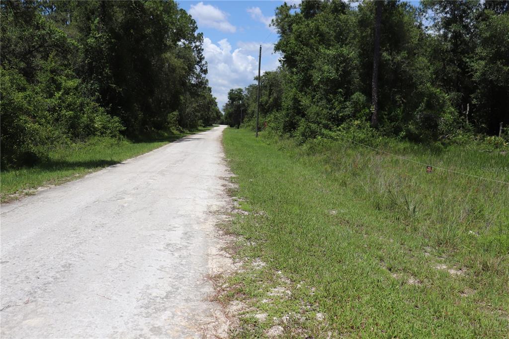 0 Bedstone Drive Webster, FL 33597 - Photo 3 of 7 a view of a yard with plants and trees
