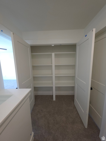 1267 West 2350 South Perry, UT 84302 - Photo 8 of 20 Built-in shelving with multiple levels, paneled closet doors, and neutral carpeting