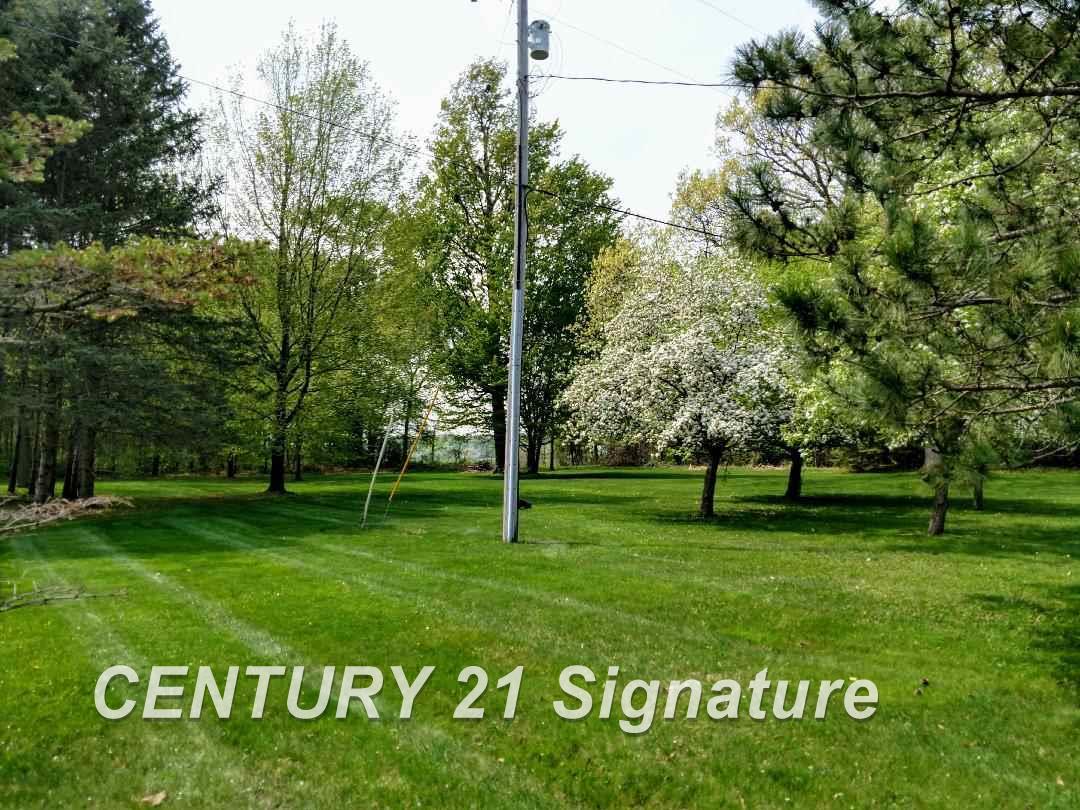16240 Stuart Road Chesaning, MI 48616 - Photo 5 of 29