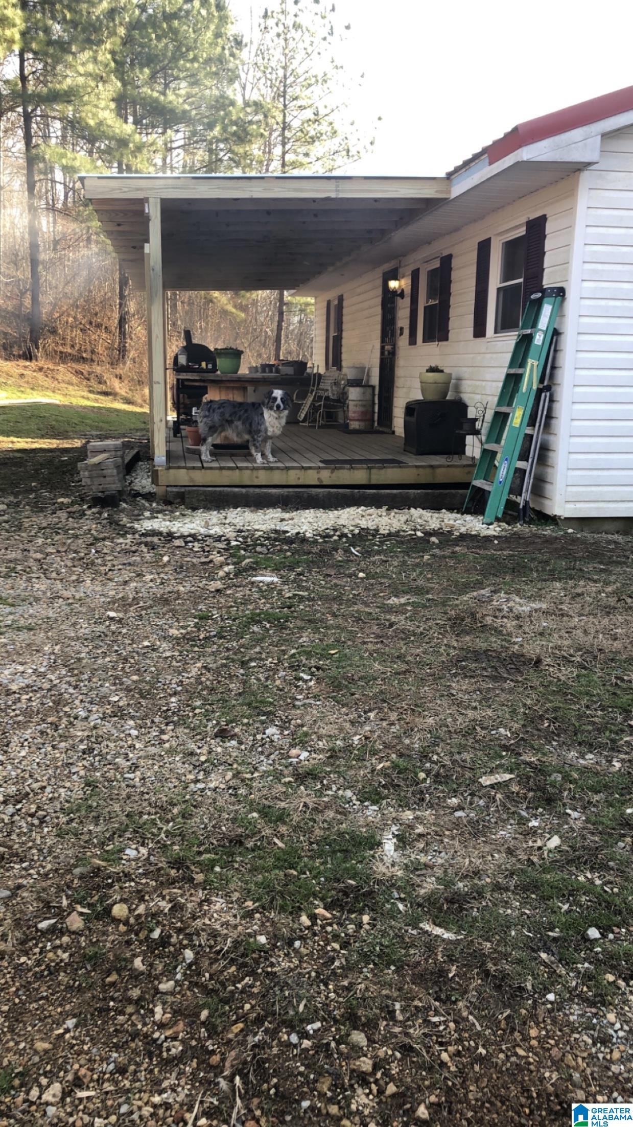 80 County Road 493 Lexington, AL 35648 - Photo 8 of 13