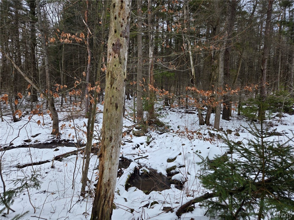 Syler Road Varysburg, NY 14167 - Photo 14 of 20