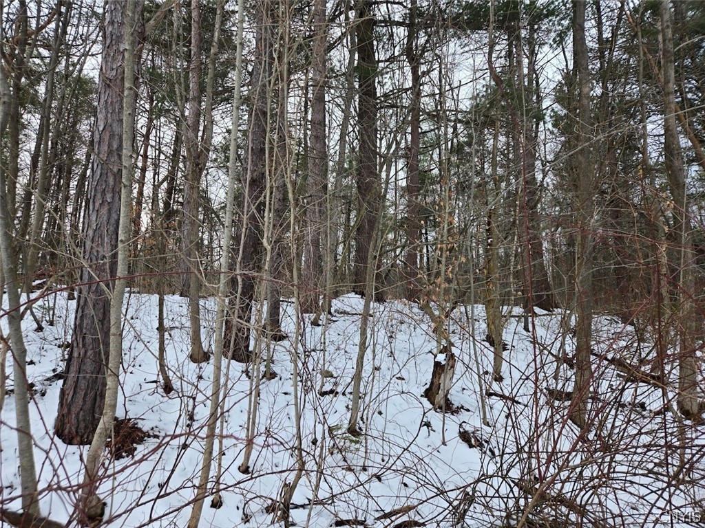Syler Road Varysburg, NY 14167 - Photo 3 of 20