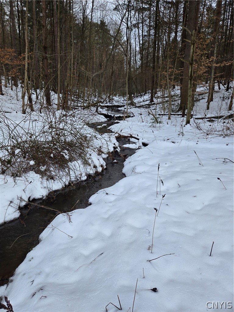 Syler Road Varysburg, NY 14167 - Photo 4 of 20