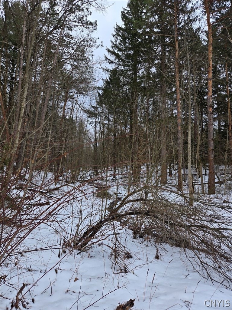 Syler Road Varysburg, NY 14167 - Photo 6 of 20