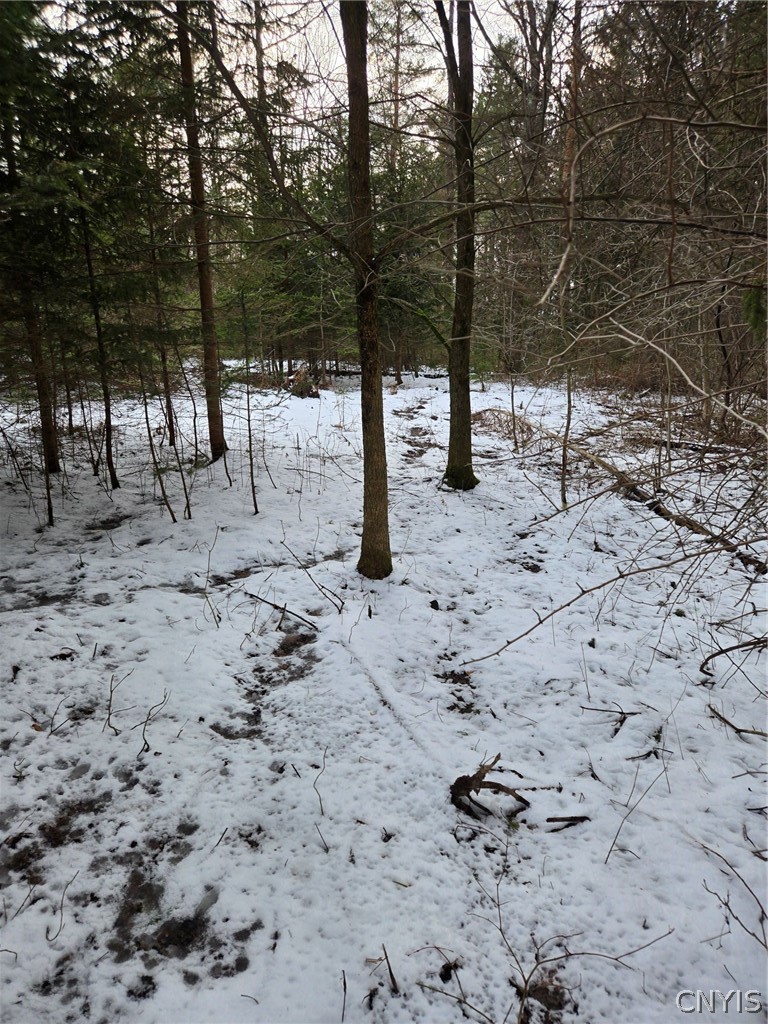Syler Road Varysburg, NY 14167 - Photo 8 of 20